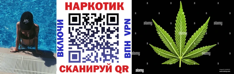 МЕФ Волосово