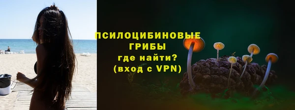 стаф Елабуга
