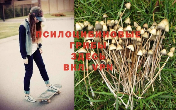 MDMA Premium VHQ Заволжье
