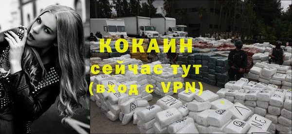 крисы Заводоуковск