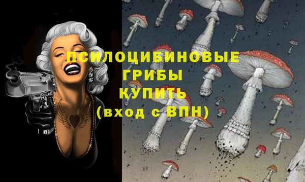 крисы Заводоуковск