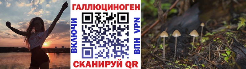 Псилоцибиновые грибы Magic Shrooms  Волосово 